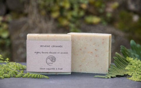 Verveine citronnée